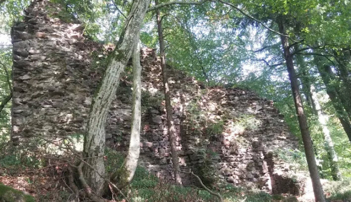 Burgruine Altjochenstein, Germany